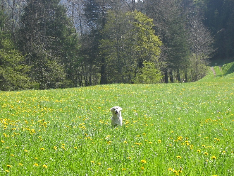 Ulane Du domaine de salivas